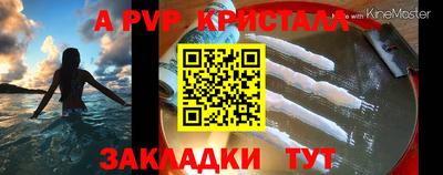молекула духа Жуковский