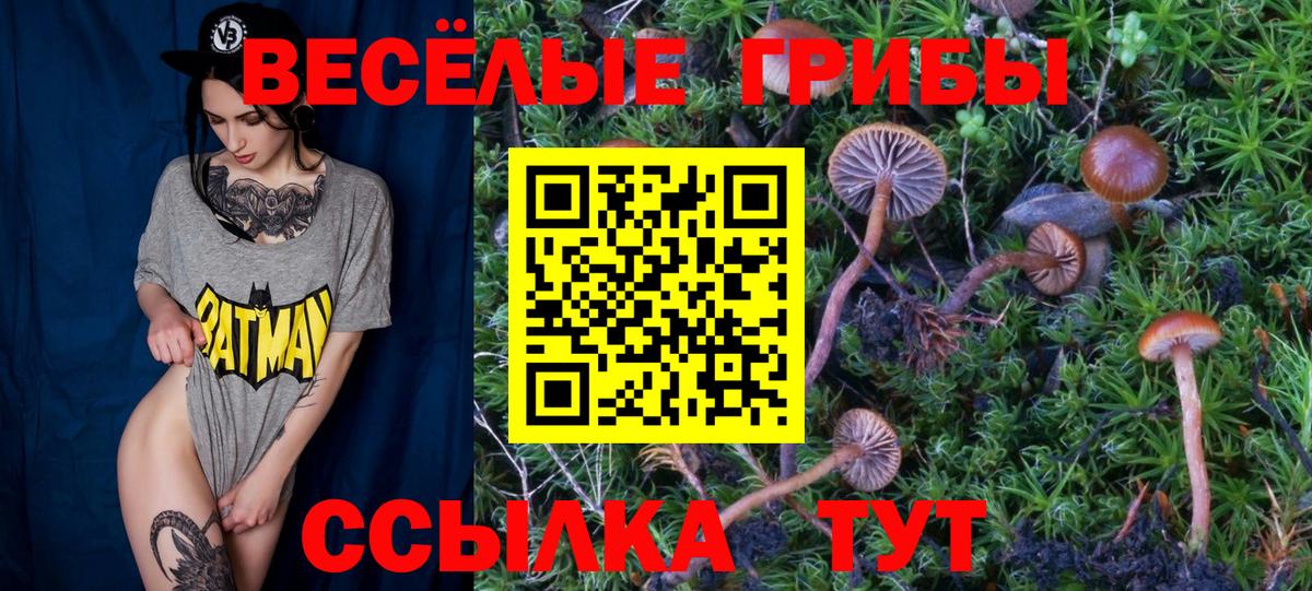 Малоярославец  Галлюциногенные грибы Magic Shrooms  Галлюциногенные грибы прущие грибы  Вход с VPN 